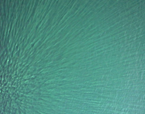 Patterns in Nature