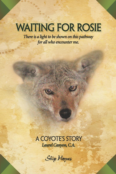Waiting For Rosie (A Coyote's Tale)