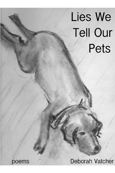 Lies We Tell Our Pets