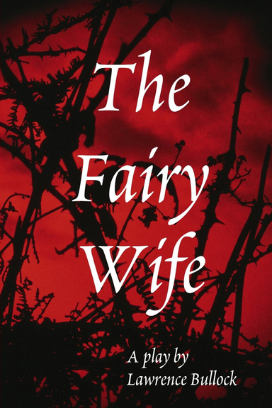 The Fairy Wife