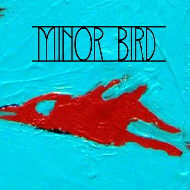 Minor Bird 2008