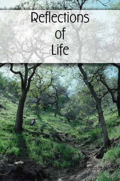 Reflections of Life