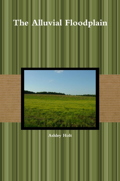 The Alluvial Floodplain