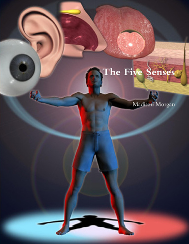 The Five Senses