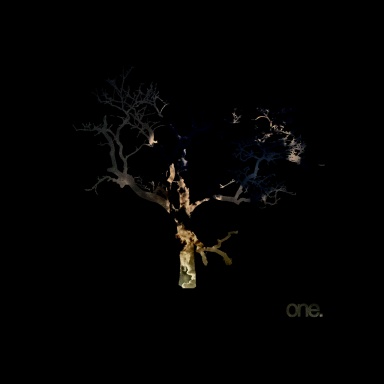 The Flashbulb - One