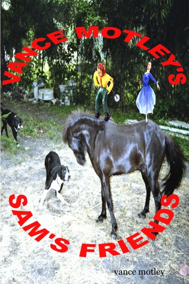 SAM'S FRIENDS