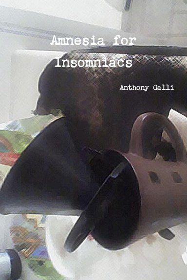 Amnesia for Insomniacs