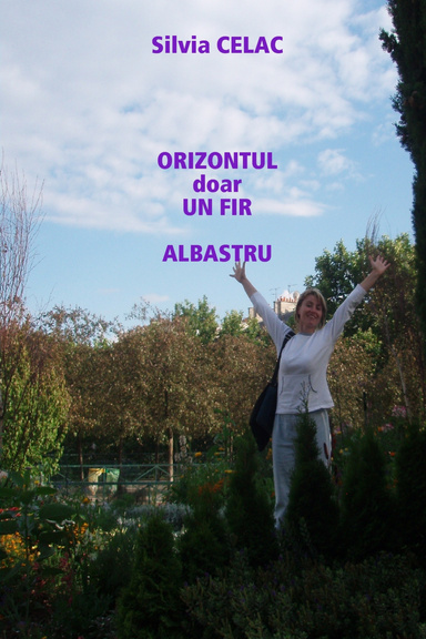 ORIZONTUL  doar  UN  FIR  ALBASTRU