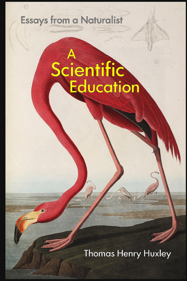 A Scientific Education