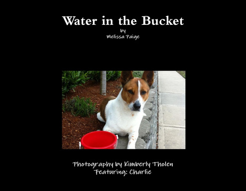 Water in the Bucket