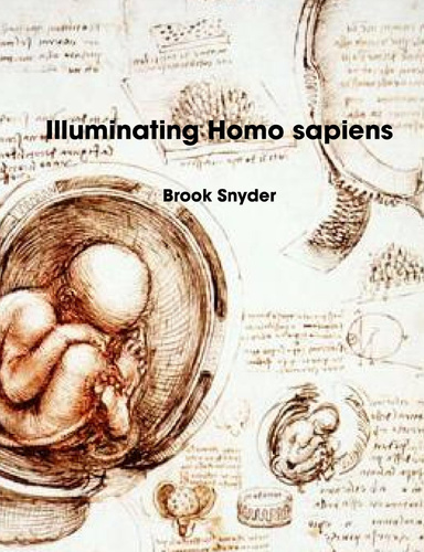 Illuminating Homo sapiens