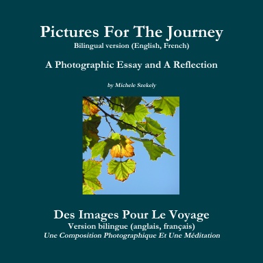 Pictures For The Journey (bilingual version)