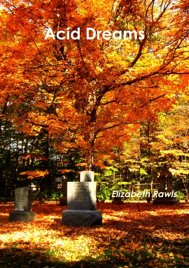 Acid Dreams