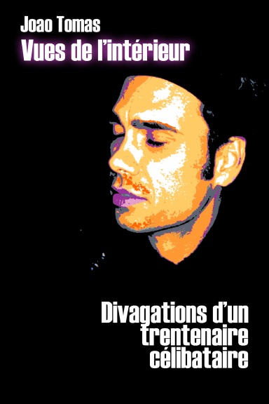 Divagations d'un trentenaire célibataire - Vues de l'intérieur