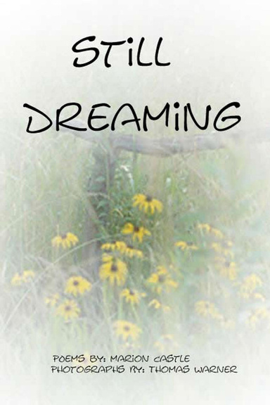 Still Dreaming