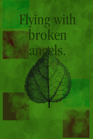 Flying with broken angels.