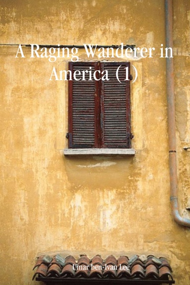 A Raging Wanderer in America (1)