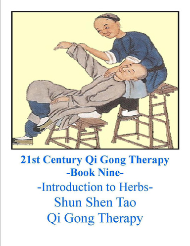 21st Century Qi Gong Therapy: Level 9
