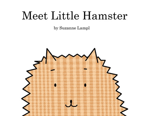 Meet Little Hamster