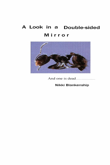 A Look in a Double-sided Mirror