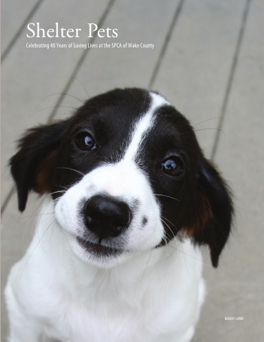 Shelter Pets