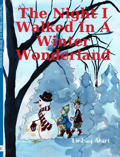 The Night I Walked In A Winter Wonderland