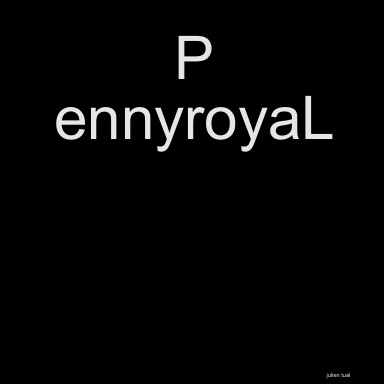PennyroyaL