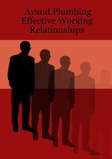 Avand Plumbing Effective Working Relationships