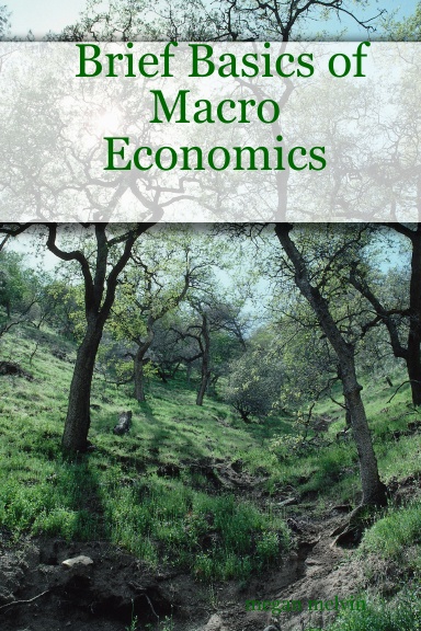 Brief Basics of Macro Economics