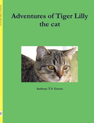 Adventures of Tiger Lilly the cat