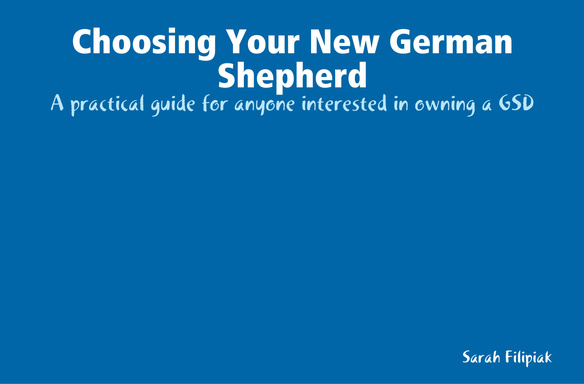 Choosing Your New German Shepherd