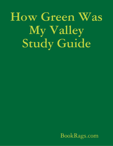 How Green Was My Valley Study Guide
