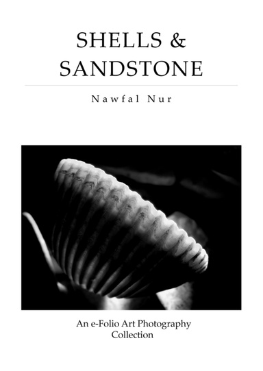 SHELLS & SANDSTONE