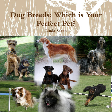 Dog Breeds: Which is Your Perfect Pet?
