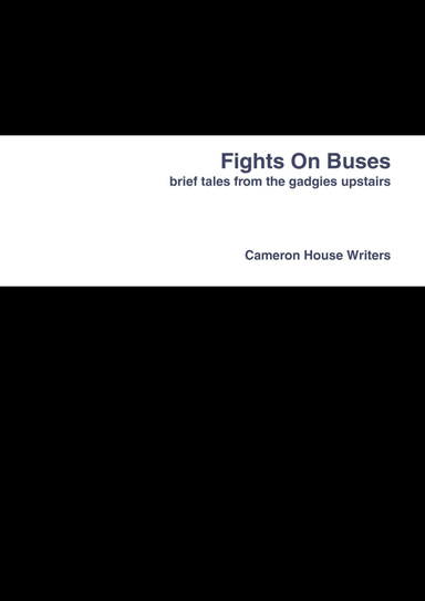 Fights On Buses