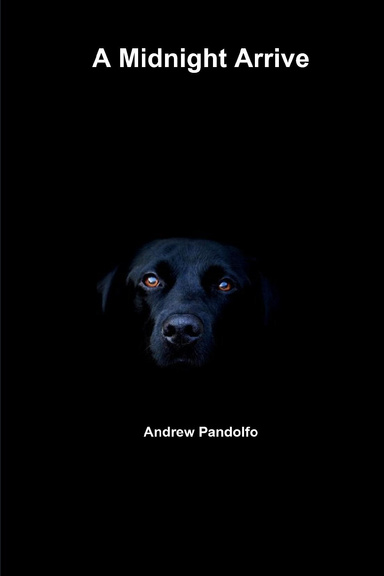 A Midnight Arrive