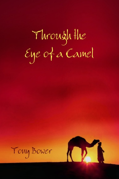 Through the Eyes of a Camel