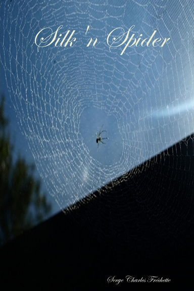 Silk'n Spider