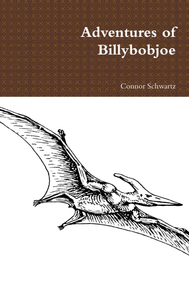 Adventures of Billybobjoe