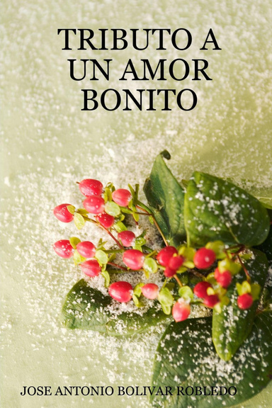TRIBUTO A UN AMOR BONITO
