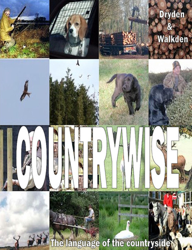 COUNTRYWISE