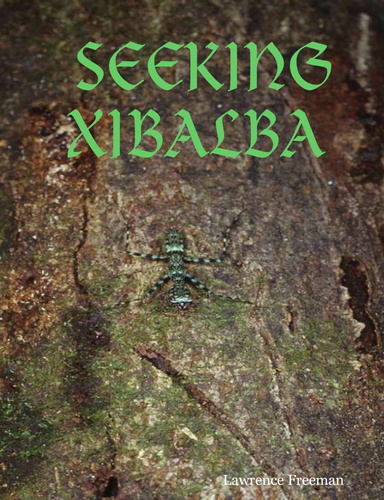 SEEKING XIBALBA