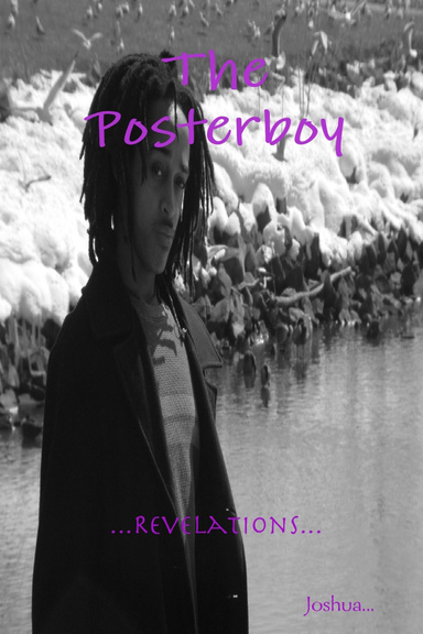 The Posterboy - Revelations