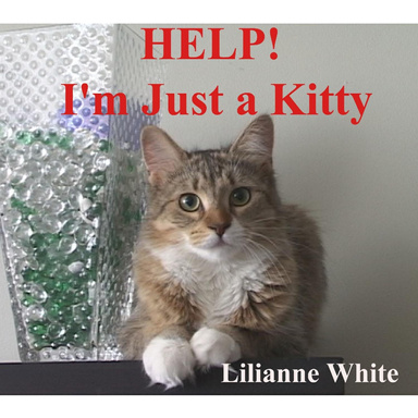 HELP! I'm Just a Kitty