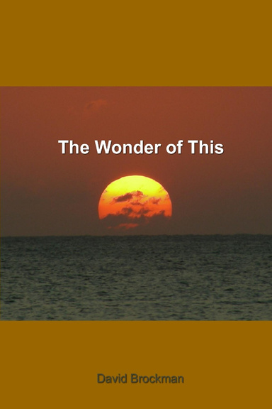 the wonder of this