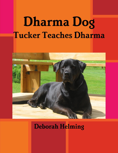 Dharma Dog