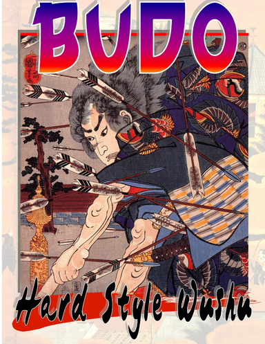 BUDO: Hard Style Wushu