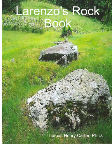 Larenzo's Rock Book