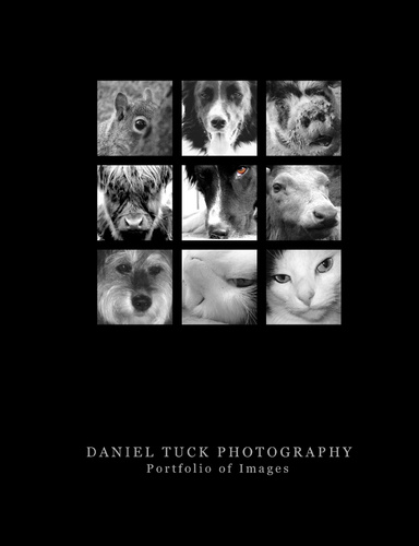 Portfolio of Work