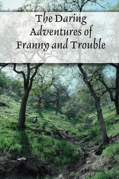The Daring Adventures of Franny and Trouble